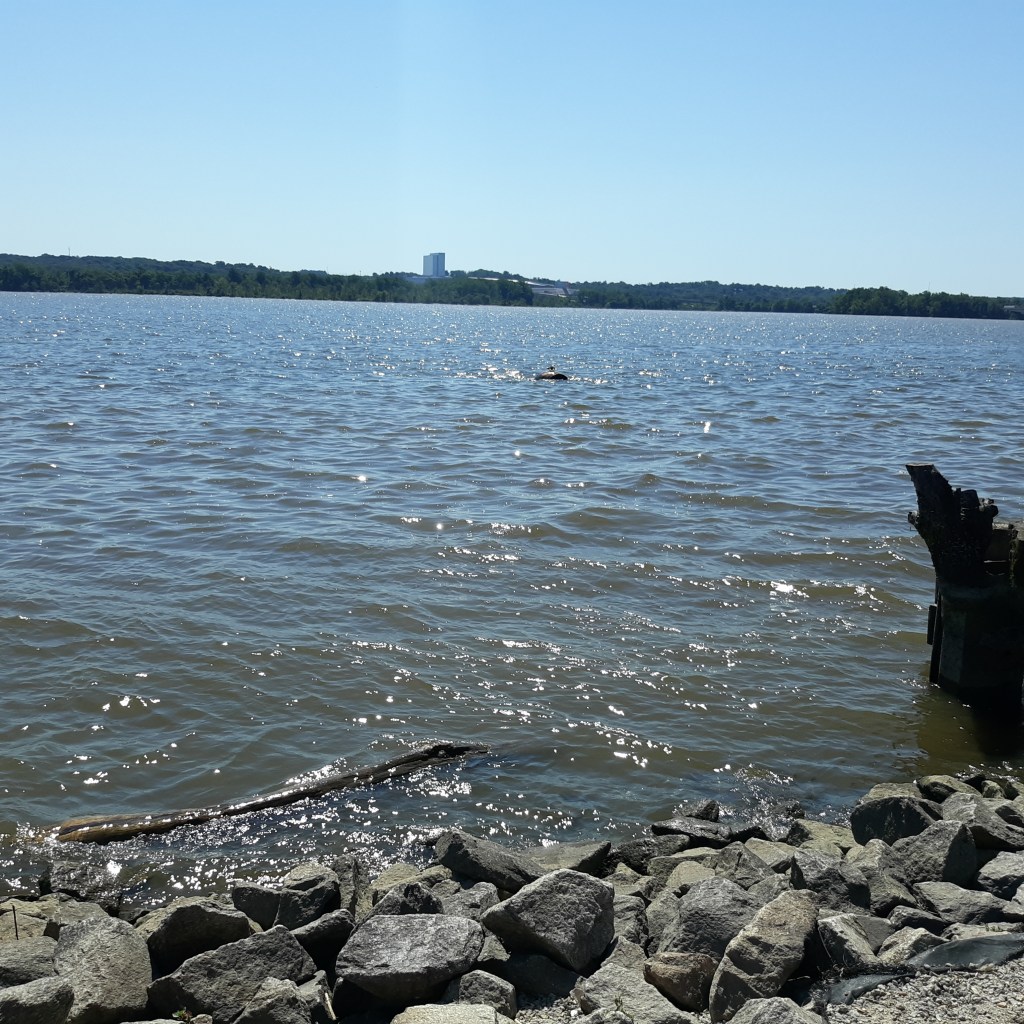 View of the Potomac River's choppy waters from the Alexandria shore.  Maryland is across the river.